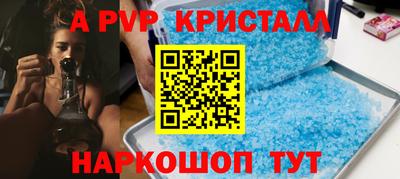 СК Надым