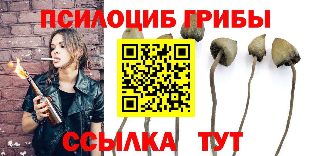 Псилоцибиновые грибы мухоморы  Галлюциногенные грибы Psilocybine cubensis  Вход с VPN  Зима 