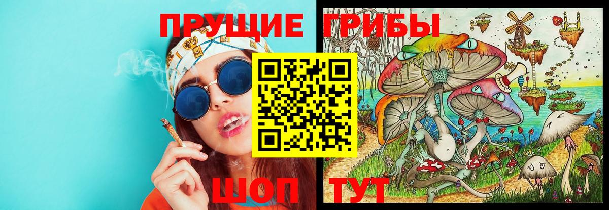 Псилоцибиновые грибы мухоморы Зима